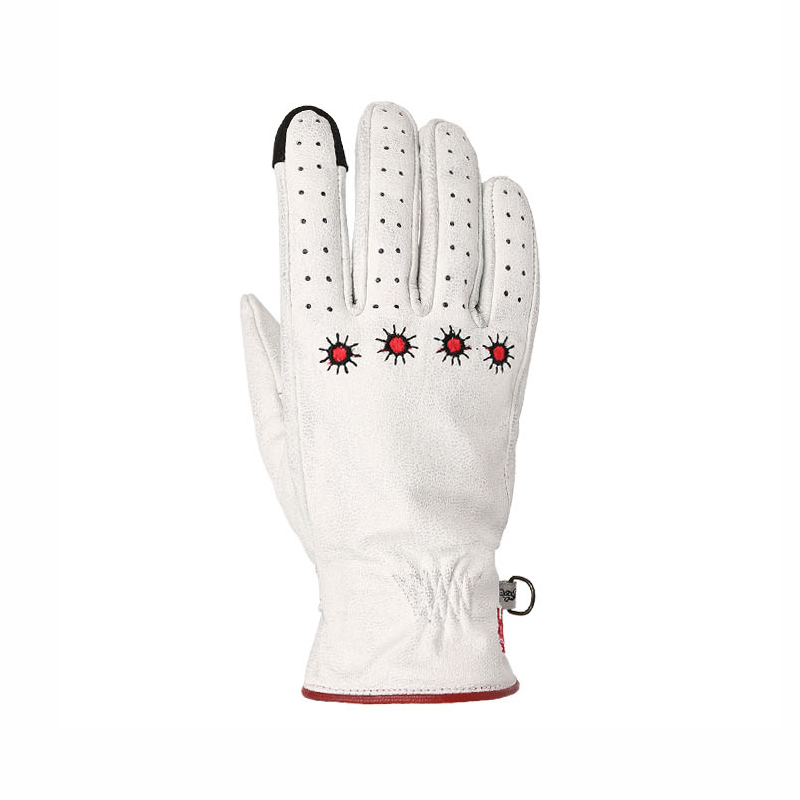 Daisy on the Ohoopee